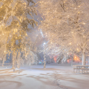Mystical Snowy Nights